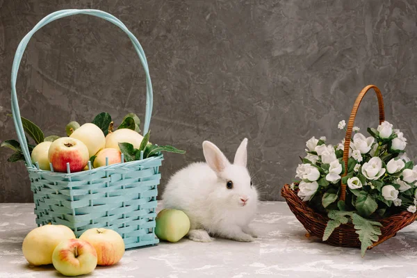 White little rabbit with black eyes next to a basket of apples and a basket of flowers — Stock Photo, Image