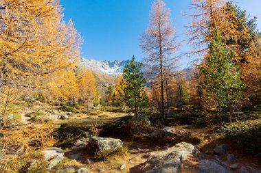 Val di Campo - Poschiavo (Ch.)