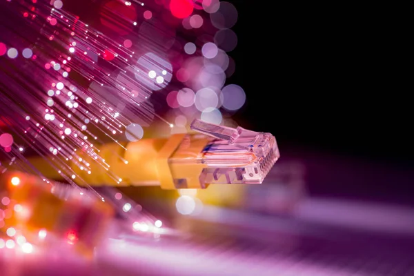 광섬유와 네트워크 케이블 — 스톡 사진