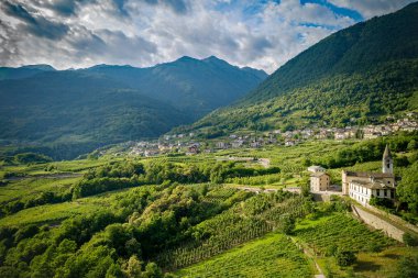 Castionetto di Chiuro - Valtellina (Ch) - Üzüm bağlarıyla panoramik hava manzarası