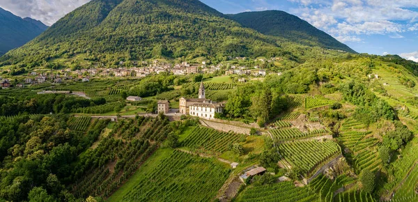 Castionetto Chiuro Valtellina Vue Aérienne Panoramique Avec Vignobles — Photo
