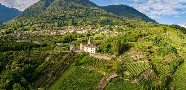 Castionetto di Chiuro - Valtellina (Ch) - Üzüm bağlarıyla panoramik hava manzarası