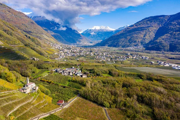 Valtellina Terasz Szőlő Bianzone Területen — Stock Fotó