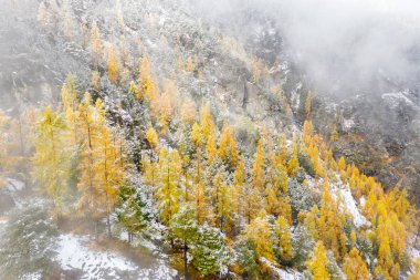 Alp manzarası - Sonbahar kış geçidi