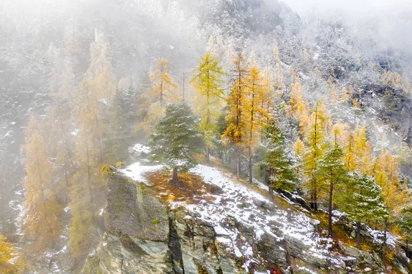 alpine landscape - autumn winter passage