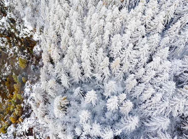 Alpine Landschap Herfst Winter Passage — Stockfoto