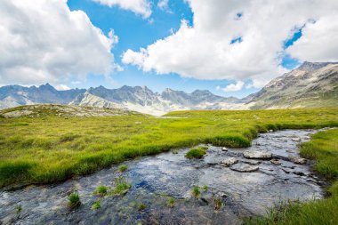 Grosina Vadisi - Valtellina (It) - Yüksek dağlarda bir deresi olan manzara