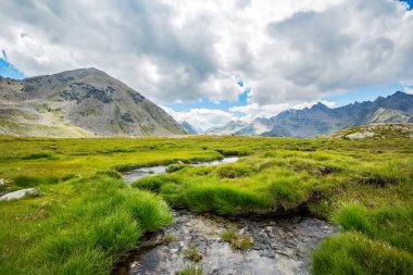 Grosina Vadisi - Valtellina (It) - Yüksek dağlarda bir deresi olan manzara