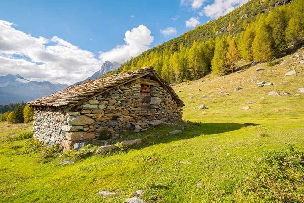 Oude Landelijke Chalets Valmalenco Alpe Dell Oro Rechtenvrije Stockfoto's