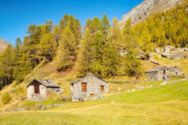 Valmalenco 'daki antik kırsal chalets (It) - Alpe dell' Oro