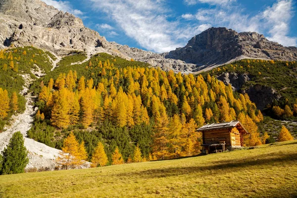 Val Zebr Bormio Cabaña Típica Madera Fotos de stock