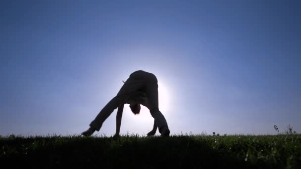 Capoeira en el césped — Vídeo de stock