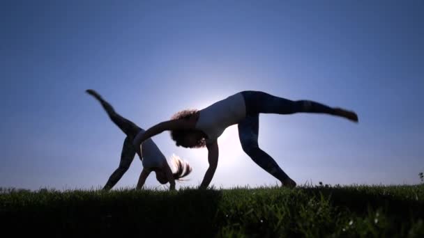 Capoeira en el césped — Vídeo de stock