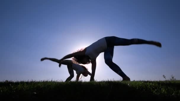 Capoeira en el césped — Vídeo de stock