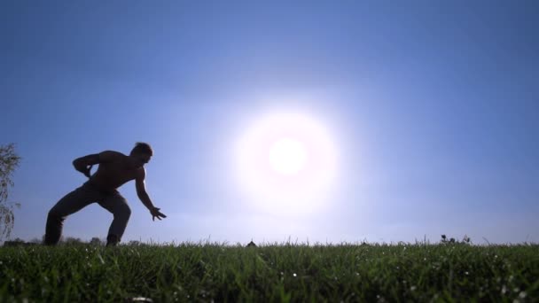 Capoeira op het gazon — Stockvideo