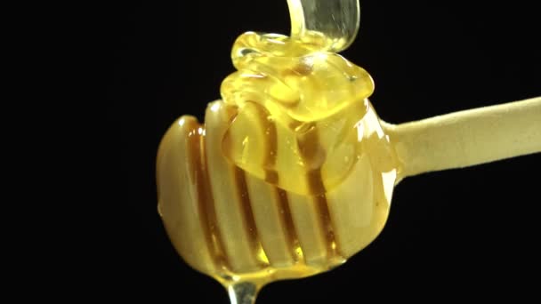 Honey dripping from honey dipper black background — Stock Video