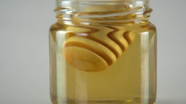Goteando miel fondo blanco — Vídeo de stock