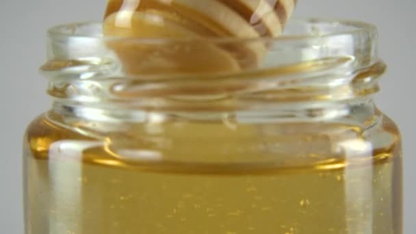 Капающий мед белый задний план — стоковое видео