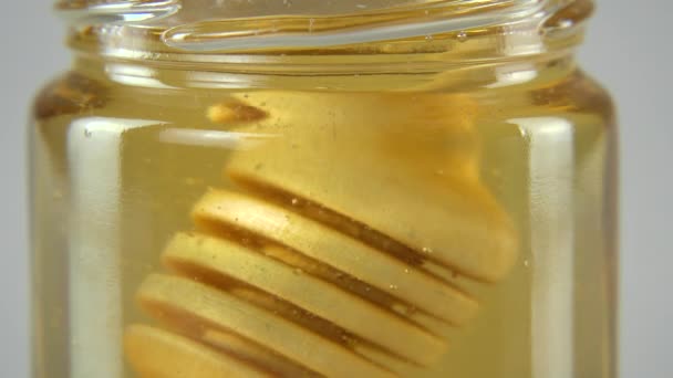 Sumerge la cuchara de madera en la miel — Vídeo de stock