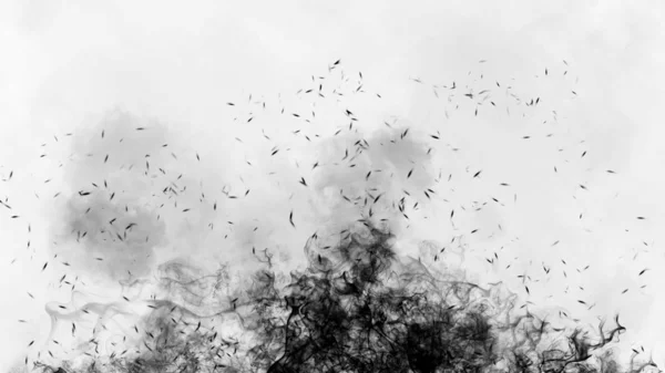 Humo negro sobre fondo aislado. Textura de niebla abstracta con partículas de brasas . — Foto de Stock