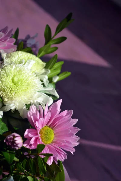 Güneşli bir günde bir bukette parlak pembe kasımpatı, bulanık mor arka planda seçici bir manzara.