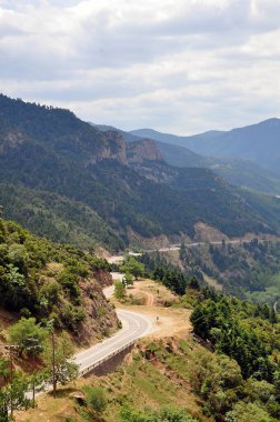 Orman dağlarındaki boş viraj yolu manzarası 