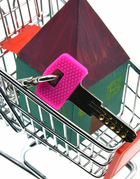 scale model of wooden house in shopping cart