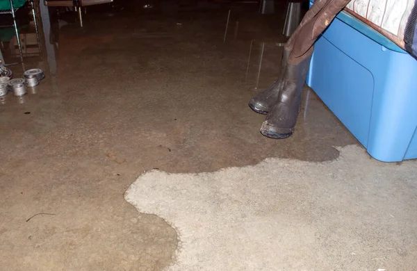 A pair of hip boots stand ready as the basement begins to flood and rains continue to pour down relentlessly. A mold inspection and structural engineer may be required. Bokeh — Stock Image Pair Hip Boots Stand Ready Basement Begins Flood Rains Continue Stock Image