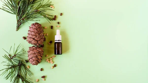 Concepto de cosmética natural, piñas con nueces y una botella de aceite sobre un fondo verde — Foto de Stock