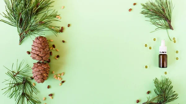 Concepto de cosmética natural, piñas con nueces y una botella de aceite sobre un fondo verde — Foto de Stock