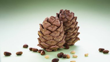 Yeşil arka planda çam fıstıklı iki kozalak, yakın plan.