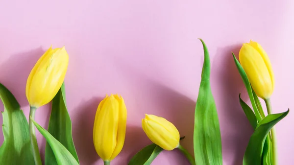 Arreglo de flores, tulipanes amarillos sobre un fondo rosa — Foto de Stock
