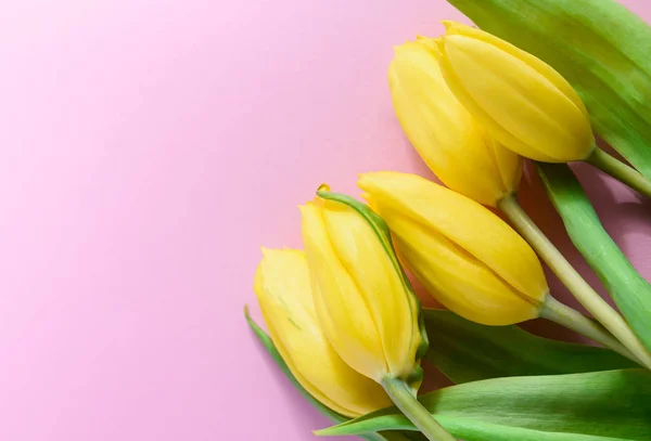 Arreglo de flores, tulipanes amarillos sobre un fondo rosa — Foto de Stock