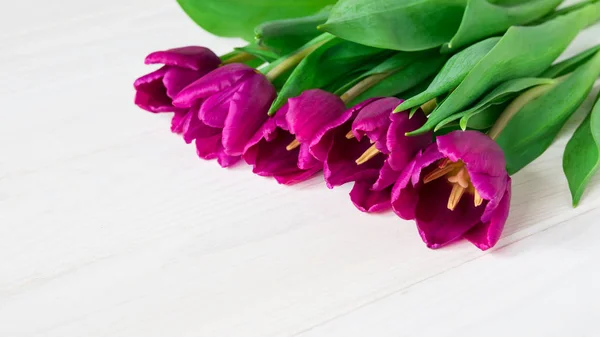 Ramo de tulipanes morados sobre una mesa de madera blanca — Foto de Stock