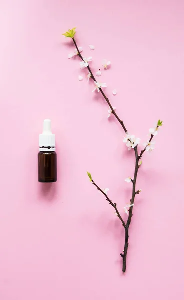 Concepto de cosmetología, minimalismo, rama de albaricoque floreciente y botella de vidrio con un gotero sobre un fondo rosa — Foto de Stock
