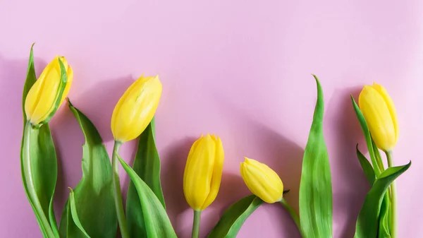 Arreglo de flores, tulipanes amarillos sobre un fondo rosa — Foto de Stock