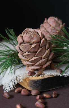 natürmort, fındıklı kozalaklı kozalak siyah arka planda, yakın planda.