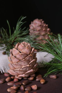 natürmort, fındıklı kozalaklı kozalak siyah arka planda, yakın planda.