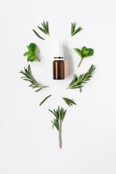 Frascos de vidrio con aceites esenciales y hojas de romero y menta sobre un fondo blanco, espacio libre para texto — Foto de Stock