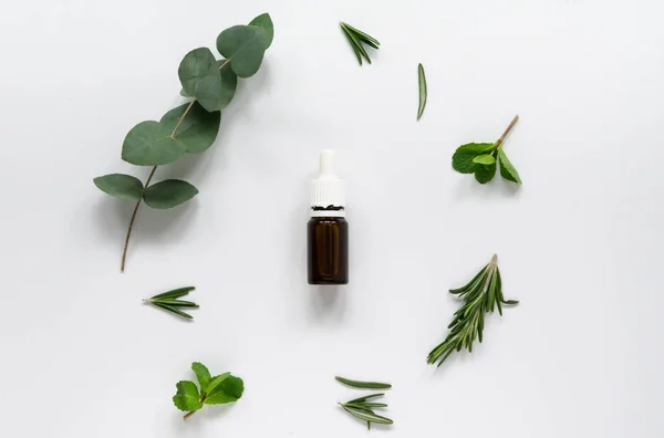 Frascos de vidrio con aceites esenciales y hojas de romero y menta sobre un fondo blanco, espacio libre para texto — Foto de Stock