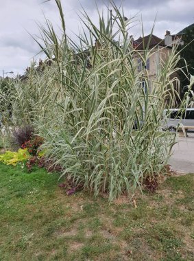 Jura 'yı ziyaret et (Fransa)