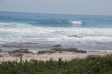 Scarborough plajı, Cape Peninsula, Güney Afrika, Afrika. Plaj bitkileri ve Atlantik Okyanusu 'nun güçlü dalgaları.