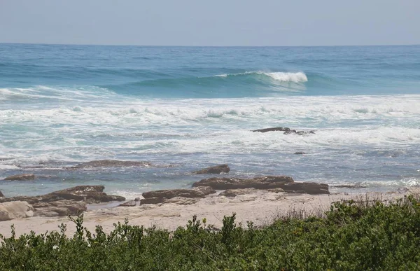 ケープ半島 大西洋岸 南アフリカ アフリカに位置するスカボローのビーチ 前景にはフィンボスと呼ばれる固有植物があります — ストック写真