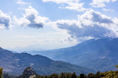 Türkiye 'de kurumuş sedir ve karlı dağ manzarası