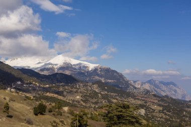 Türkiye 'de kurumuş sedir ve karlı dağ manzarası