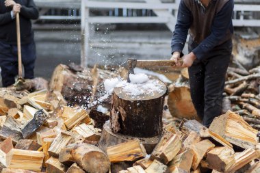 Türkiye 'de baltayla odun kıran oduncular