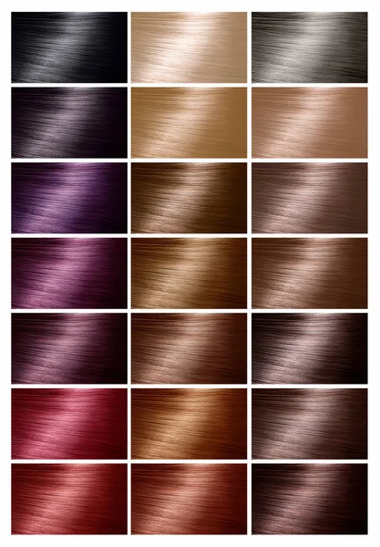 Color chart for hair dye. Tints. Hair color palette with a range - Stock  Image - Everypixel
