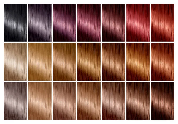 Hair color palette with a range of swatches. Tints. Color chart