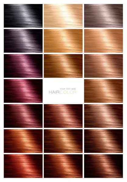 Hair color palette with a range of swatches
