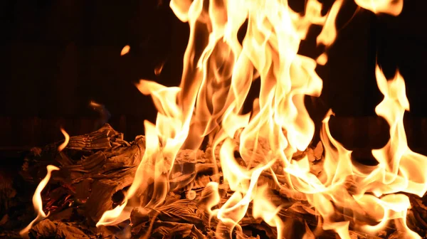 Feu Avec Des Flammes Jaunes Orange Sur Fond Noir — Photo